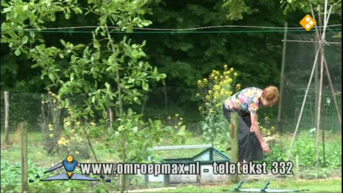 Nederland in Beweging!